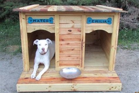 Descubrir Imagen Casas De Perros Recicladas Abzlocal Mx