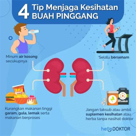 Kegagalan Buah Pinggang Akut Apa Maksud Punca Simptom Kesan