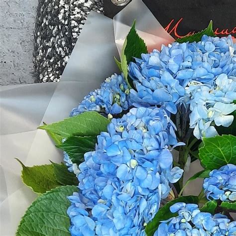 Букет из синих гортензий купить в Миллион Букетов | Доставка по Москве