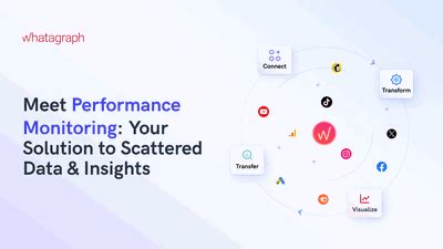 Performance Monitoring: Your Solution to Scattered Data | Whatagraph