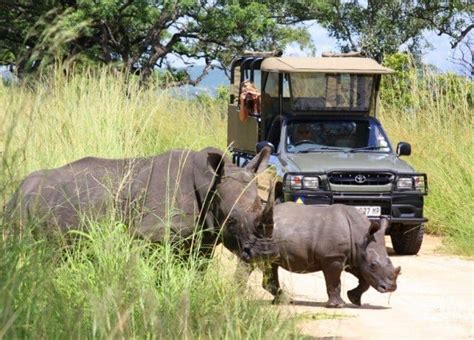 Big 5 Safari Richards Bay