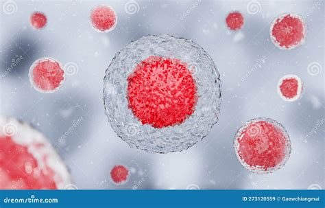 An Embryonic Stem Cell Cut Opened Revealing Nucleus Nucleolus In A Human Cell Cellular