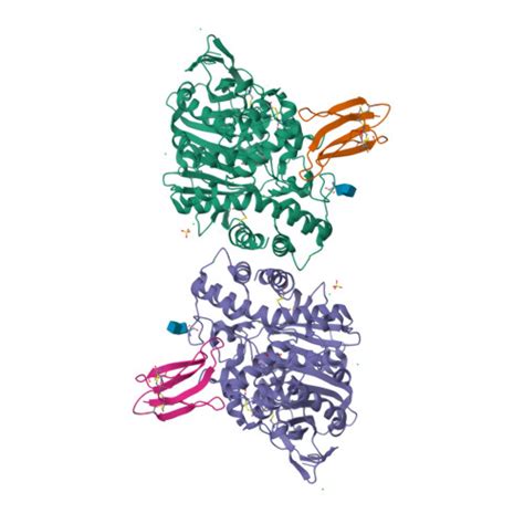 Rcsb Pdb X B Crystal Structure Of Human Acetylcholinesterase