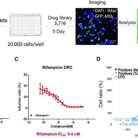 Compound Library Screening Using Mtb Infected Imac A Schematic Download Scientific Diagram