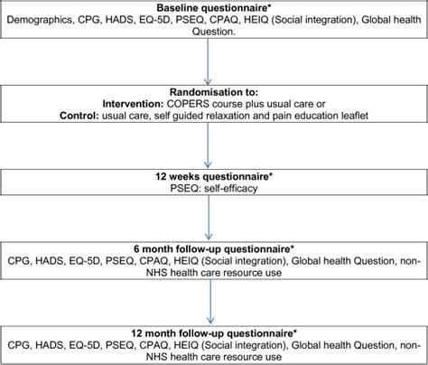 Schedule Of Assessment Cpg Chronic Pain Grade Von Korff [3] Hads Download Scientific