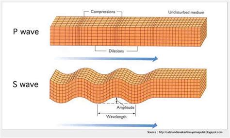 Melihat Luas Dunia Garis Besar Gelombang Seismik Yang Tepat Dan Jenisnya