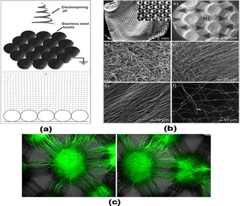 A Schematic Representation Of Nanofiber Membrane Preparation B Optical