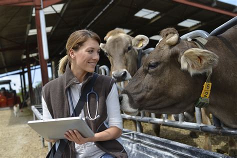 Médico Veterinario Zootecnista ¡hoy Es El Día Del Médico Veterinario