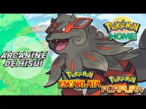 Arcanine Hisui Tutorial C Mo Hacer Para Obtenerlo Pok Mon