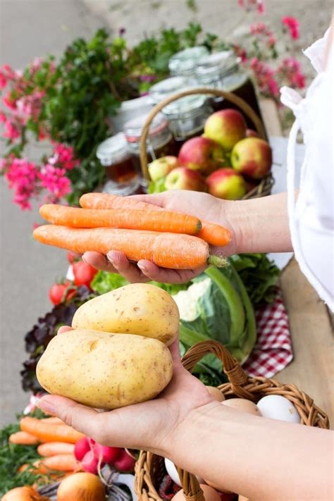 Batatas Cenouras Cebolas Salsa Beterrabas Cruas No Backgrou R Stico