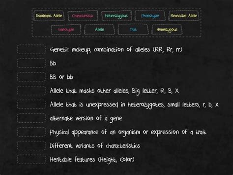 Mendelian Genetics Intro Match Up