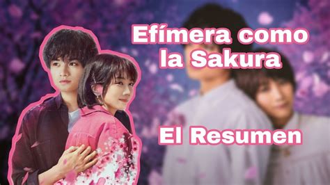 El Resumen Ef Mera Como La Sakura Youtube