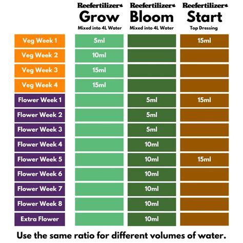 Feeding Schedule For Cannabis What You Need To Know