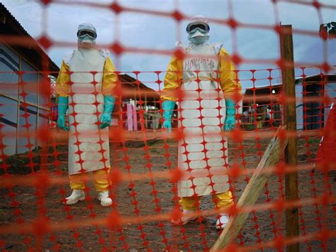 Ebola Outbreak Size Of Problem Has Been Vastly Underestimated Says