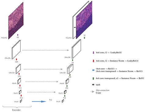 J Imaging Free Full Text Staincut Stain Normalization With