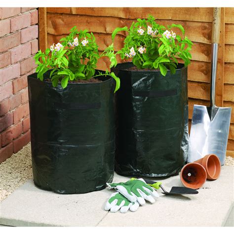 Wilko Grow Bag Potato 42l 2pk Wilko