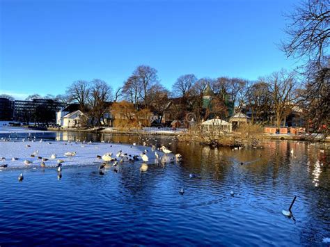 Stavanger City in Norway, View at Winter Time Stock Photo - Image of ...