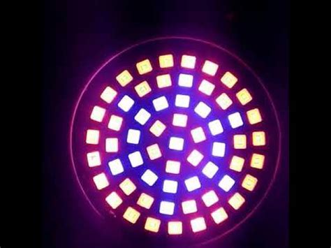 Фитолампа - YouTube