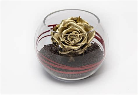 Preserved Gold Rose Arrangement, Everlasting Flowers Stock Image ...