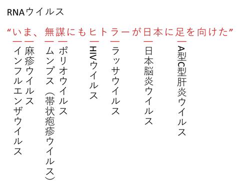 生物のゴロで絶対に覚えておきたいもの【薬剤師国家試験、cbt、大学受験】 Gorokichi Co ゴロ吉商事