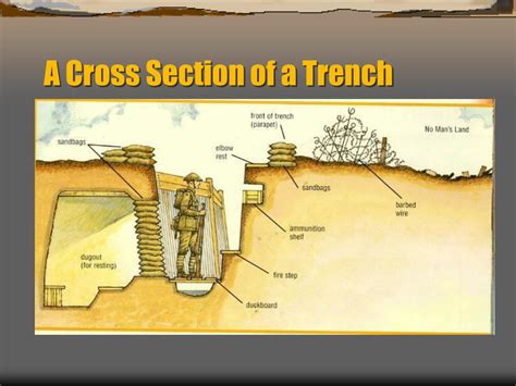 Mariana Trench Cross Section