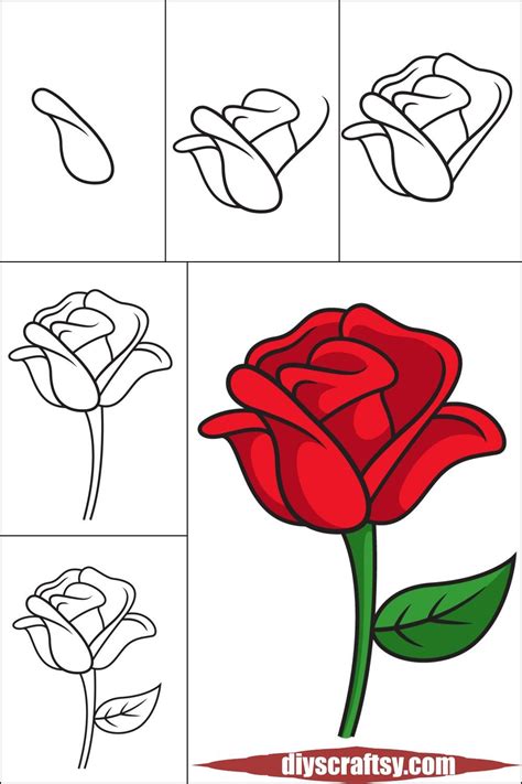 How To Draw A Rose For Adults Roses Drawing Rose Drawing Rose