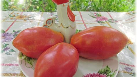 Томат Капия розовая: характеристика и урожайность сорта, отзывы ...