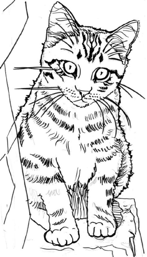 Cute Coloring Pages Kittens