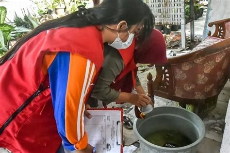 Cegah Penularan Dbd Pemkot Surabaya Imbau Penyelidikan Epidemiologi