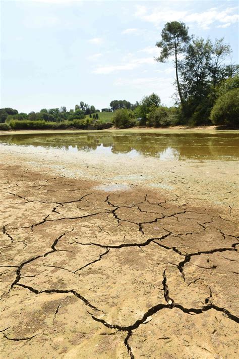 Sécheresse 85 communes reconnues en état de catastrophe naturelle