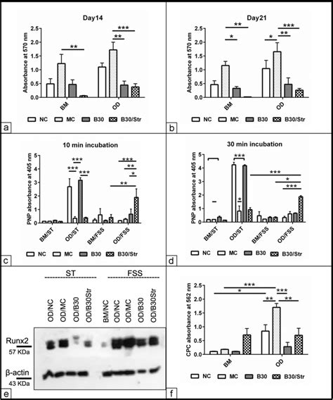 Effect Of Biomaterials On The Osteogenic Differentiation Of Mscs Under Download Scientific