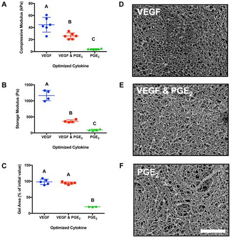 Engineering Fibrin Hydrogels To Promote The Wound Healing Potential Of