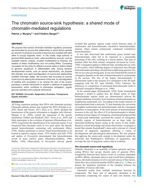 Pdf The Chromatin Source Sink Hypothesis A Shared Mode Of Chromatin