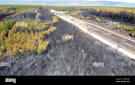 Nature Destructions Hi Res Stock Photography And Images Alamy