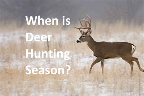 When is Deer Hunting Season? A Guide to the Timing and Regulations ...