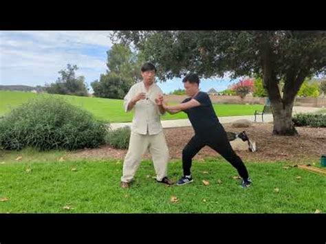 Unlocking The Secrets Exploring The Essence Of Hard Tai Chi