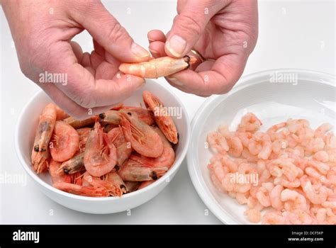 Some Fresh Organic Prawns Ready To Eat Stock Photo Alamy