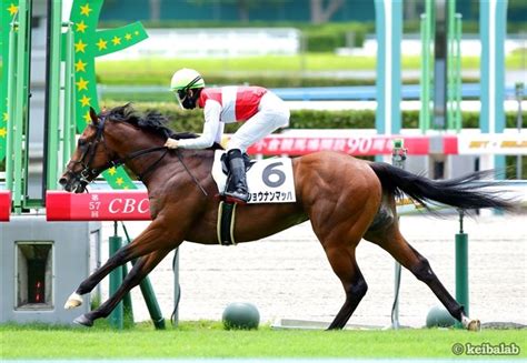 ショウナンマッハ Shonan Mach 競走馬データベース 競馬ラボ