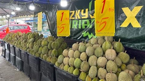 Harga Borong Biji Hanya Rm Dan Longgok Rm Di Rizky Durian