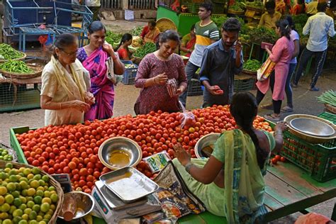 Indian Farmer Becomes Millionaire As Tomato Price Hits Record Gg