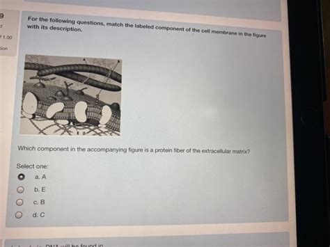 Solved For The Following Questions Match The Labeled Chegg