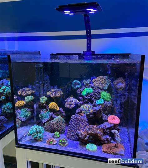 Maxspect Jump L 165 Led Strikes A Balance Of Features Power And Price Reef Builders The