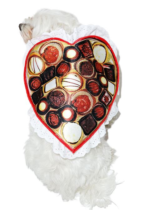 Valentines Day Dog Costume | Dolls Kill