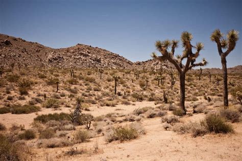 Imagen gratis: desierto, seco, paisaje, geología, piedra arenisca ...