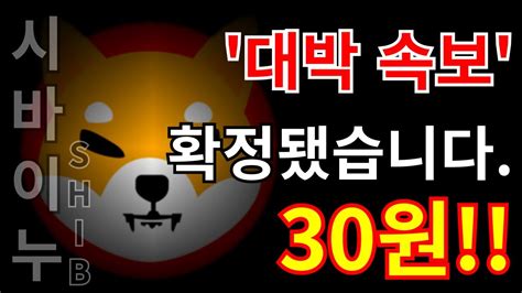 시바이누shib 드디어 확정 30원 간다 시바이누코인 시바이누전망 Youtube