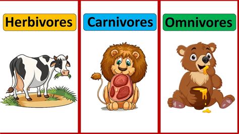 Herbivores Carnivores Omnivores Types Of Animals Animals And