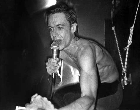 Fernando Natalici Iggy Pop Photograph New York 1982 Iggy Pop New York For Sale At 1stdibs