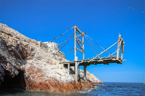 Full Day Ballestas Islands Paracas National Reserve Apullay Tours