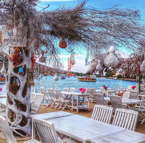 MİMOZA MELENGEC RESTAURANT GUMUSLUK BODRUM TURKEY Geziler Seyahat