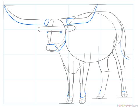 How to draw a longhorn | Step by step Drawing tutorials